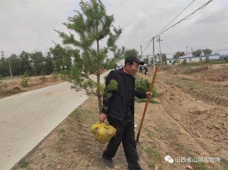山西省山阴农牧场