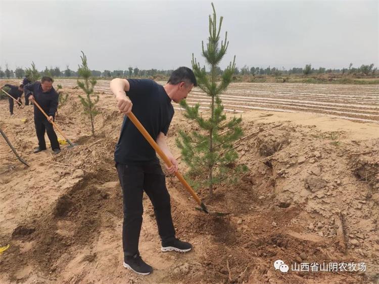 山西省山阴农牧场