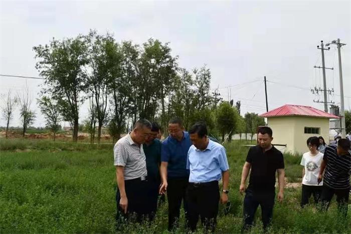 山西省山阴农牧场