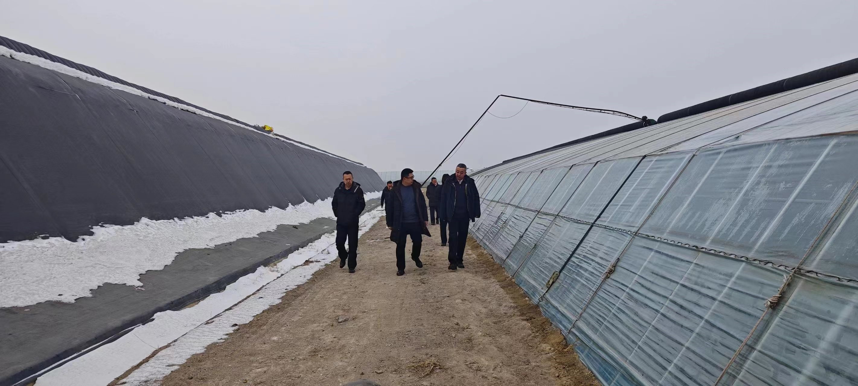 微信图片_202402021342081