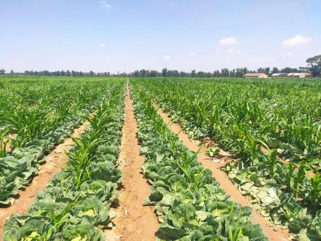 朔州市农委来山西省山阴农牧场就农业发展模式进行探讨交流