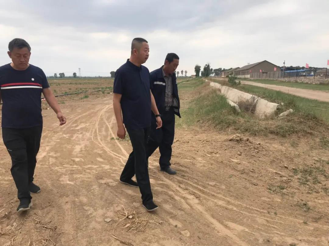 山西省山阴农牧场 全体干部职工聚合力抗旱情