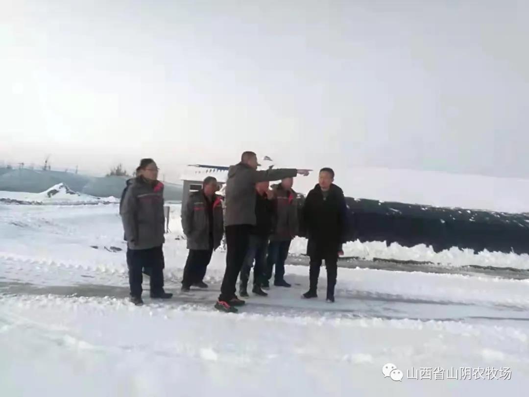 全力清除积雪 .生产有序