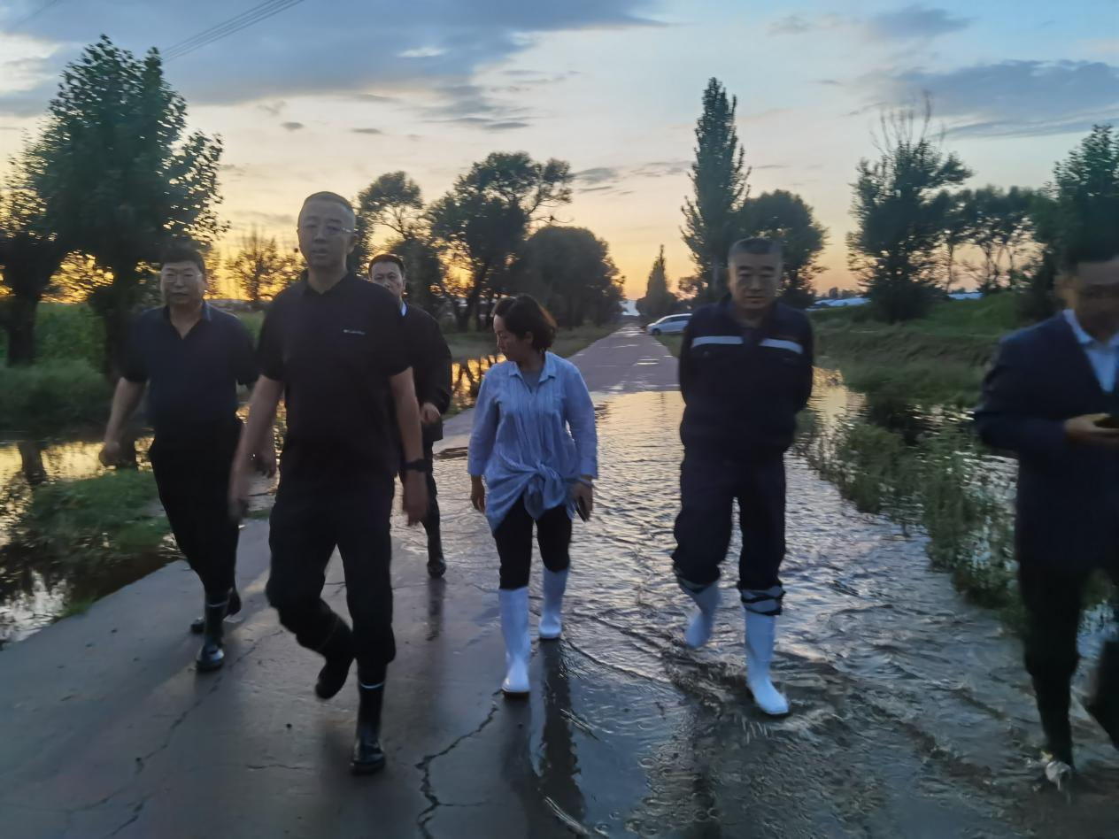 省农业（农垦）产业集团董事长吴玉国 来我场视察农田受灾情况