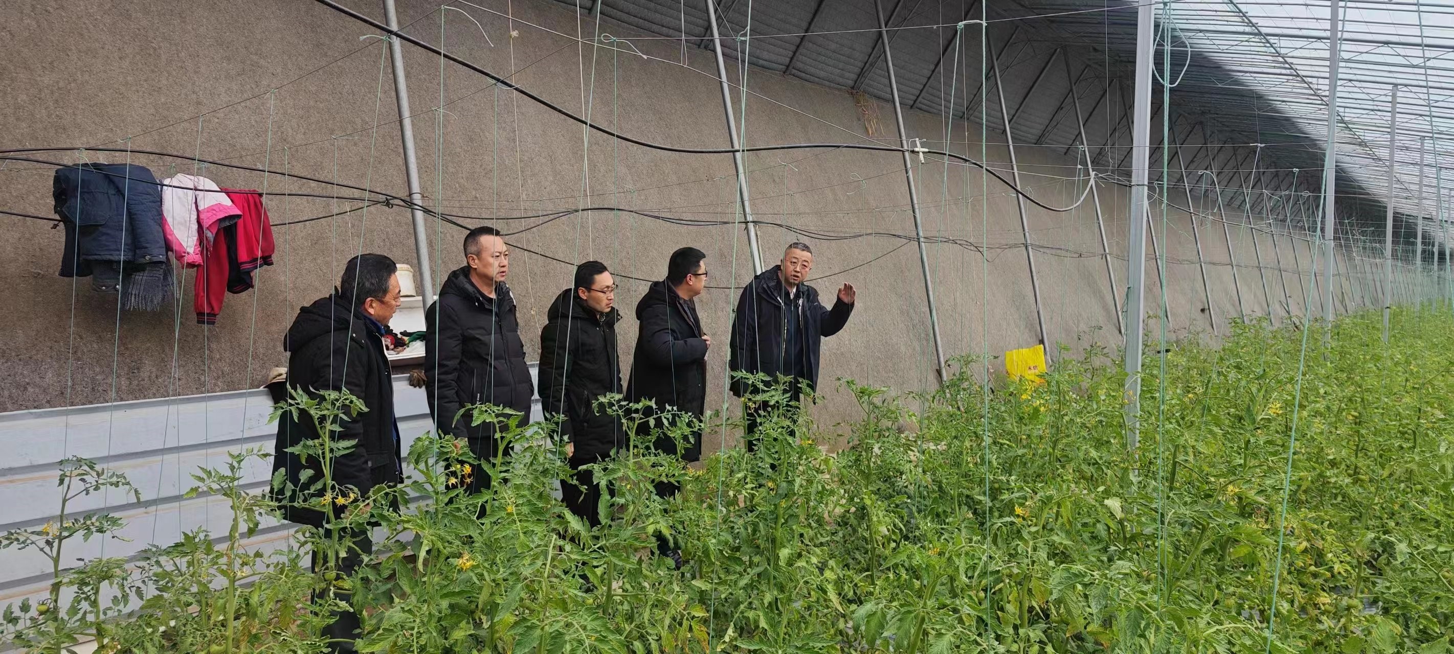 山西省山阴农牧场党委领_导班子 春节前开展安全生产及重要区域检查工作